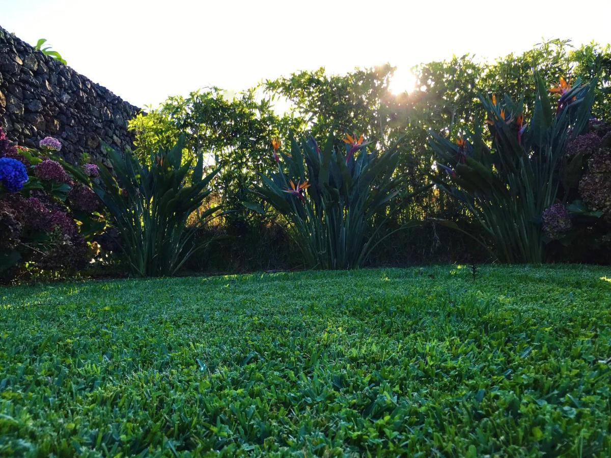 Surf Beach_Santa Barbara Secret Gardens Ribeira Grande Exterior foto